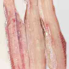 みんなが作ってる たちうお さばき方のレシピ クックパッド 簡単おいしいみんなのレシピが354万品