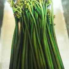 みんなが作ってる わらび あく抜き 灰のレシピ クックパッド 簡単おいしいみんなのレシピが360万品