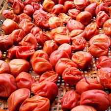 みんなが作ってる 梅干し用 赤しそのレシピ クックパッド 簡単おいしいみんなのレシピが358万品