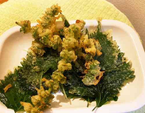 みんなが作ってる バジルの花のレシピ クックパッド 簡単おいしいみんなのレシピが357万品