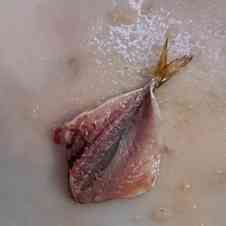 みんなが作ってる 魚さばき方のレシピ クックパッド 簡単おいしいみんなのレシピが361万品