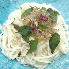 みんなが作ってる ホーリーバジルのレシピ クックパッド 簡単おいしいみんなのレシピが358万品