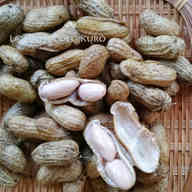 みんなが作ってる 生落花生 殻なしのレシピ クックパッド 簡単おいしいみんなのレシピが362万品