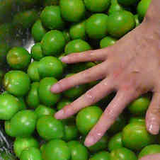 みんなが作ってる カリカリ梅 漬けるのレシピ クックパッド 簡単おいしいみんなのレシピが358万品