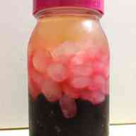 みんなが作ってる 冷凍ブルーベリー 氷砂糖のレシピ クックパッド 簡単おいしいみんなのレシピが355万品