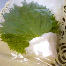 みんなが作ってる 大葉 保存 ジップロックのレシピ クックパッド 簡単おいしいみんなのレシピが351万品