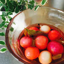 みんなが作ってる ラディッシュピクルスのレシピ クックパッド 簡単おいしいみんなのレシピが350万品