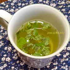 みんなが作ってる ペパーミントのレシピ クックパッド 簡単おいしいみんなのレシピが359万品