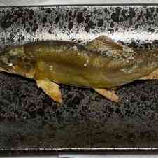 みんなが作ってる あゆ 塩焼き くしのレシピ クックパッド 簡単おいしいみんなのレシピが360万品