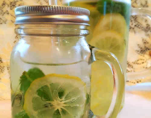 みんなが作ってる ミント 飲み物のレシピ クックパッド 簡単おいしいみんなのレシピが353万品