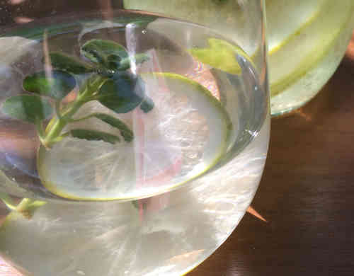 みんなが作ってる アロマティカスのレシピ クックパッド 簡単おいしいみんなのレシピが351万品