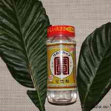 みんなが作ってる びわの葉のレシピ クックパッド 簡単おいしいみんなのレシピが354万品