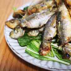 みんなが作ってる 小あじ から揚げ フライパンのレシピ クックパッド 簡単おいしいみんなのレシピが353万品