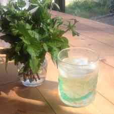 みんなが作ってる ハーブジュースのレシピ クックパッド 簡単おいしいみんなのレシピが360万品