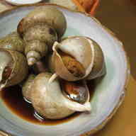 みんなが作ってる バイ貝煮付けのレシピ クックパッド 簡単おいしいみんなのレシピが364万品