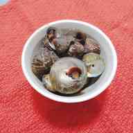 みんなが作ってる ニナ貝のレシピ クックパッド 簡単おいしいみんなのレシピが356万品