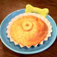 みんなが作ってる 犬用ケーキのレシピ クックパッド 簡単おいしいみんなのレシピが354万品