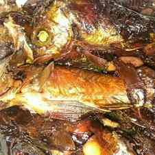 みんなが作ってる メバル 塩焼きのレシピ クックパッド 簡単おいしいみんなのレシピが353万品