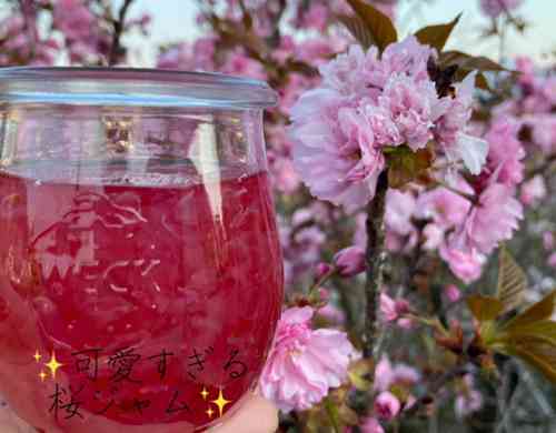 みんなが作ってる 桜のジャムのレシピ クックパッド 簡単おいしいみんなのレシピが357万品