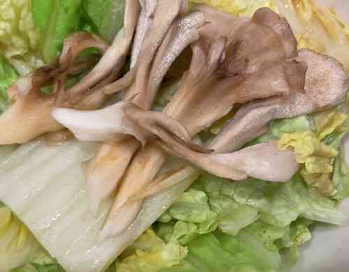 みんなが作ってる 一人暮らし ダイエットのレシピ クックパッド 簡単おいしいみんなのレシピが356万品