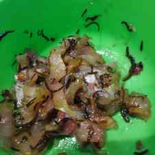 みんなが作ってる アイゴのレシピ クックパッド 簡単おいしいみんなのレシピが353万品