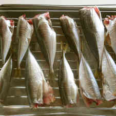 みんなが作ってる 小アジ干物のレシピ クックパッド 簡単おいしいみんなのレシピが353万品