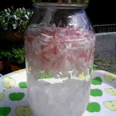 みんなが作ってる キンモクセイ 酒のレシピ クックパッド 簡単おいしいみんなのレシピが360万品