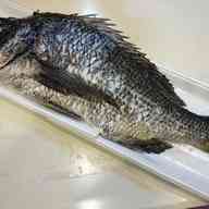 みんなが作ってる 黒鯛 ムニエルのレシピ クックパッド 簡単おいしいみんなのレシピが356万品