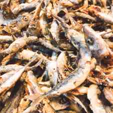 みんなが作ってる 小鯖のレシピ クックパッド 簡単おいしいみんなのレシピが361万品