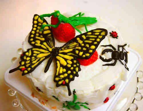みんなが作ってる 昆虫ケーキのレシピ クックパッド 簡単おいしいみんなのレシピが348万品