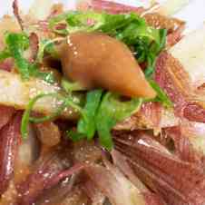 みんなが作ってる 茎みょうがのレシピ クックパッド 簡単おいしいみんなのレシピが358万品