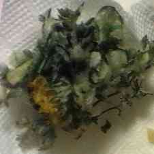 みんなが作ってる タンポポ 葉のレシピ クックパッド 簡単おいしいみんなのレシピが360万品