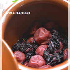 みんなが作ってる 赤しそ 塩漬けのレシピ クックパッド 簡単おいしいみんなのレシピが360万品