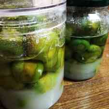 密封袋で作る 自家製梅シロップ Toiro Note トイロノート 家族が笑顔になる いつものごはんを彩るレシピサイト