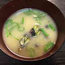 みんなが作ってる 亀の手のレシピ クックパッド 簡単おいしいみんなのレシピが359万品