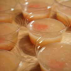 みんなが作ってる つわり ゼリーのレシピ クックパッド 簡単おいしいみんなのレシピが358万品