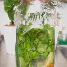 みんなが作ってる ミント酒のレシピ クックパッド 簡単おいしいみんなのレシピが358万品