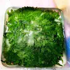 すべての花の画像 最新のhdしその葉 料理