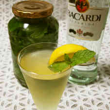 みんなが作ってる スペアミントの葉のレシピ クックパッド 簡単おいしいみんなのレシピが357万品