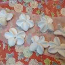 ぜいたくマシュマロ 花 最高の花の画像