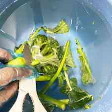 みんなが作ってる ブロッコリー 嫌いのレシピ クックパッド 簡単おいしいみんなのレシピが359万品