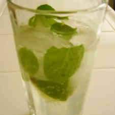 みんなが作ってる ミント 飲み物のレシピ クックパッド 簡単おいしいみんなのレシピが353万品