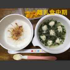 みんなが作ってる 8ヶ月 離乳食 おかゆのレシピ クックパッド 簡単おいしいみんなのレシピが360万品