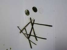 キャラ弁ー簡単 お弁当箱型のドラえもん レシピ 作り方 By おそな クックパッド 簡単おいしいみんなのレシピが356万品