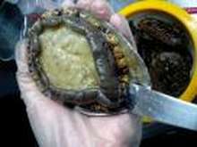 簡単 あわびのバター焼き レシピ 作り方 By フィノ クックパッド 簡単おいしいみんなのレシピが378万品