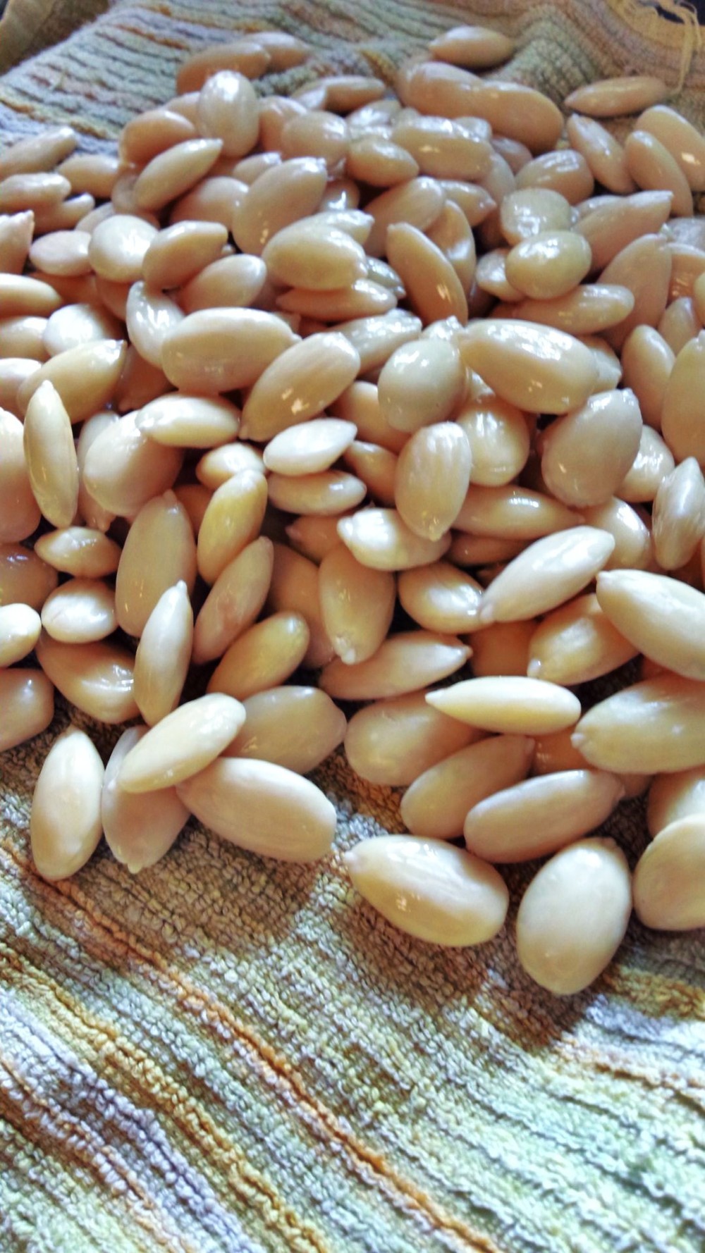 高価なら作っちゃおう アーモンドプードル レシピ 作り方 By ゆうチョコまま クックパッド 簡単おいしいみんなのレシピが360万品