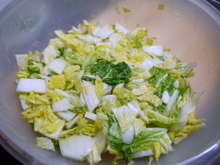 手作り白菜キムチ にんにく無 レシピ 作り方 By クックヲタク クックパッド 簡単おいしいみんなのレシピが354万品