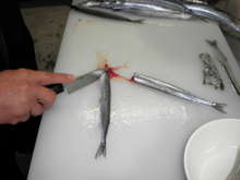 春が旬 サヨリのさばき方 大名おろし レシピ 作り方 By 久慈浜丸小漁協 クックパッド 簡単おいしいみんなのレシピが360万品