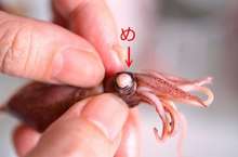 全工程写真付簡単 ホタルイカの下ごしらえ レシピ 作り方 By 槙かおる クックパッド 簡単おいしいみんなのレシピが354万品