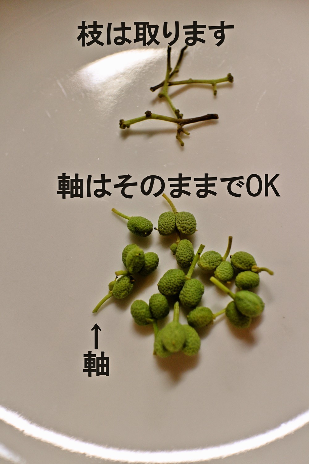 正しい山椒の実の下ごしらえと保存方法 レシピ 作り方 By めかまはぉ クックパッド 簡単おいしいみんなのレシピが357万品
